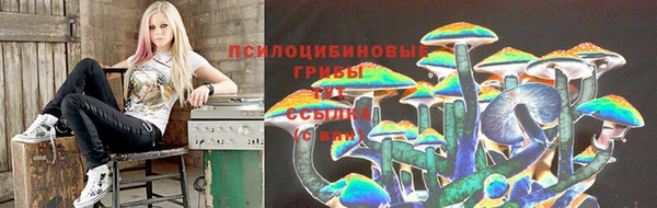 герыч Абинск