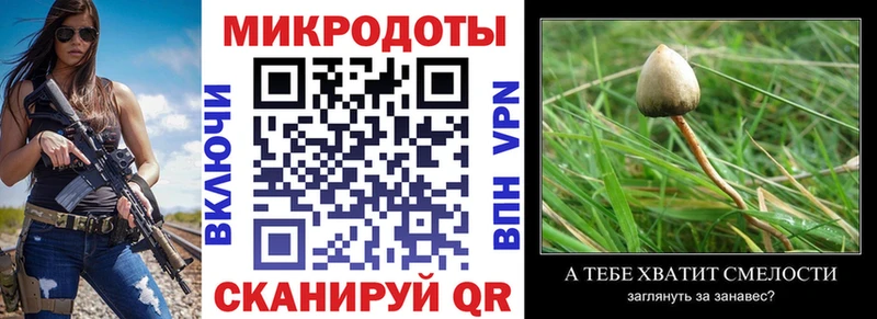 Псилоцибиновые грибы ЛСД  где купить наркотик  Томари 